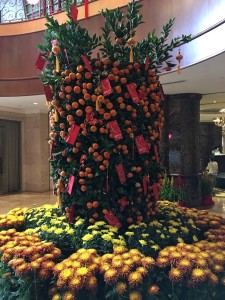 New Year Celebration