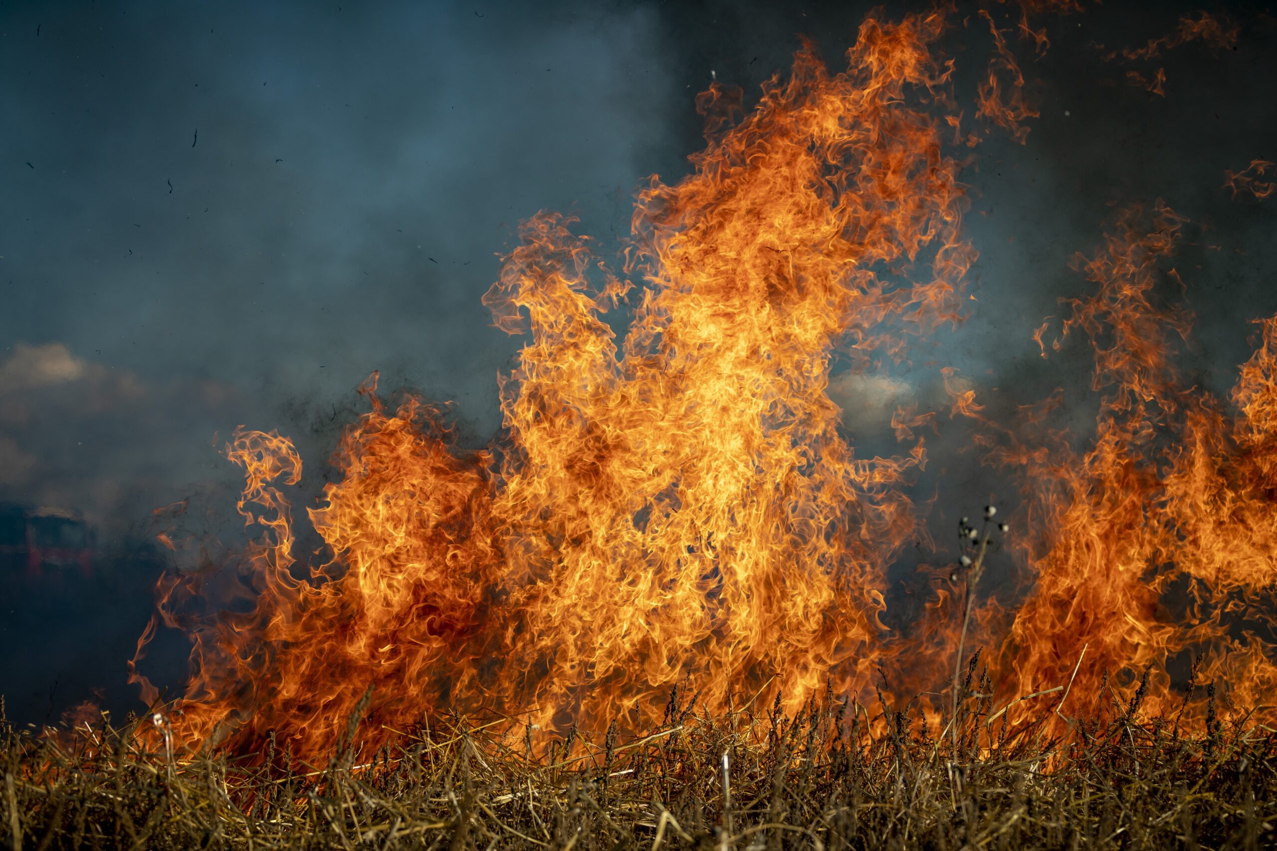 Fighting For Those Affected By The Eaton Fire